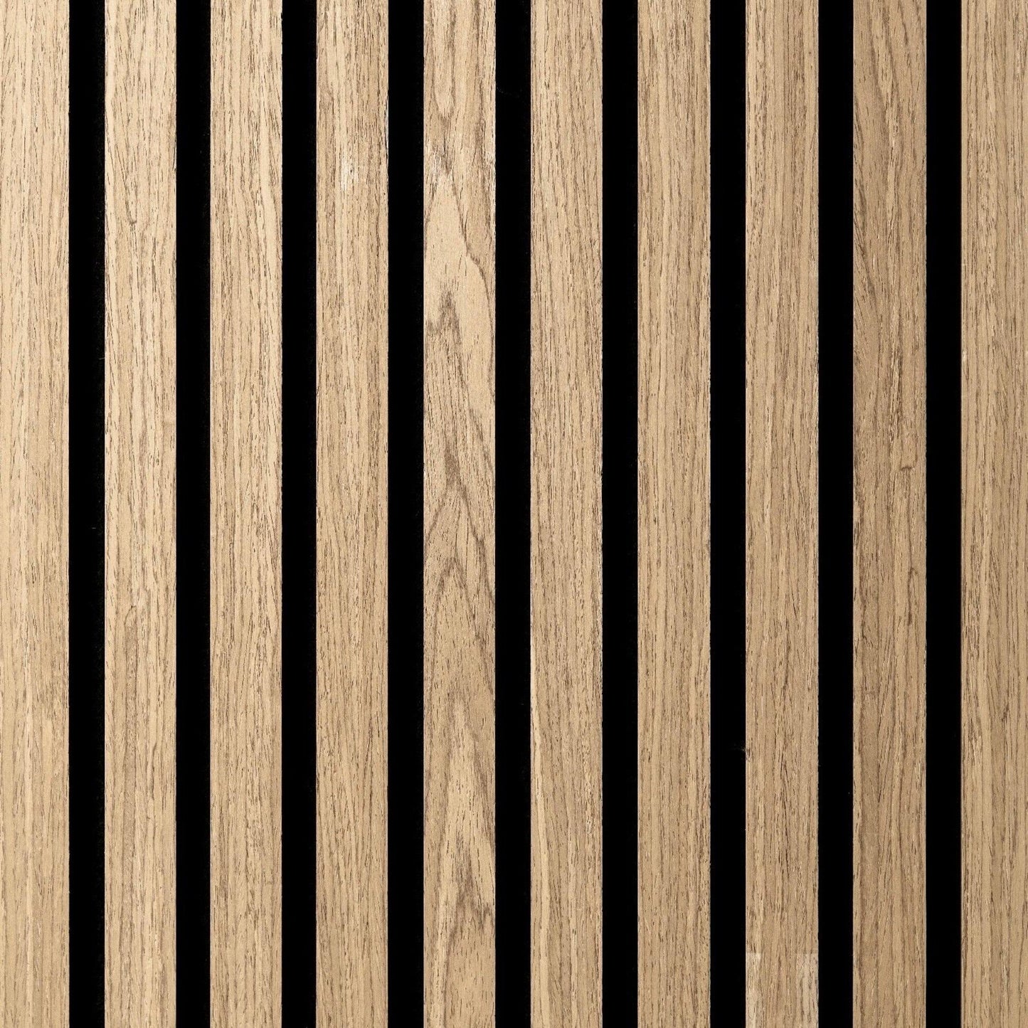 Akustica | 240 cm